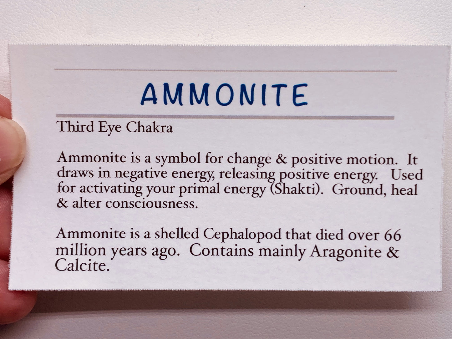 Ammonite macrame necklace